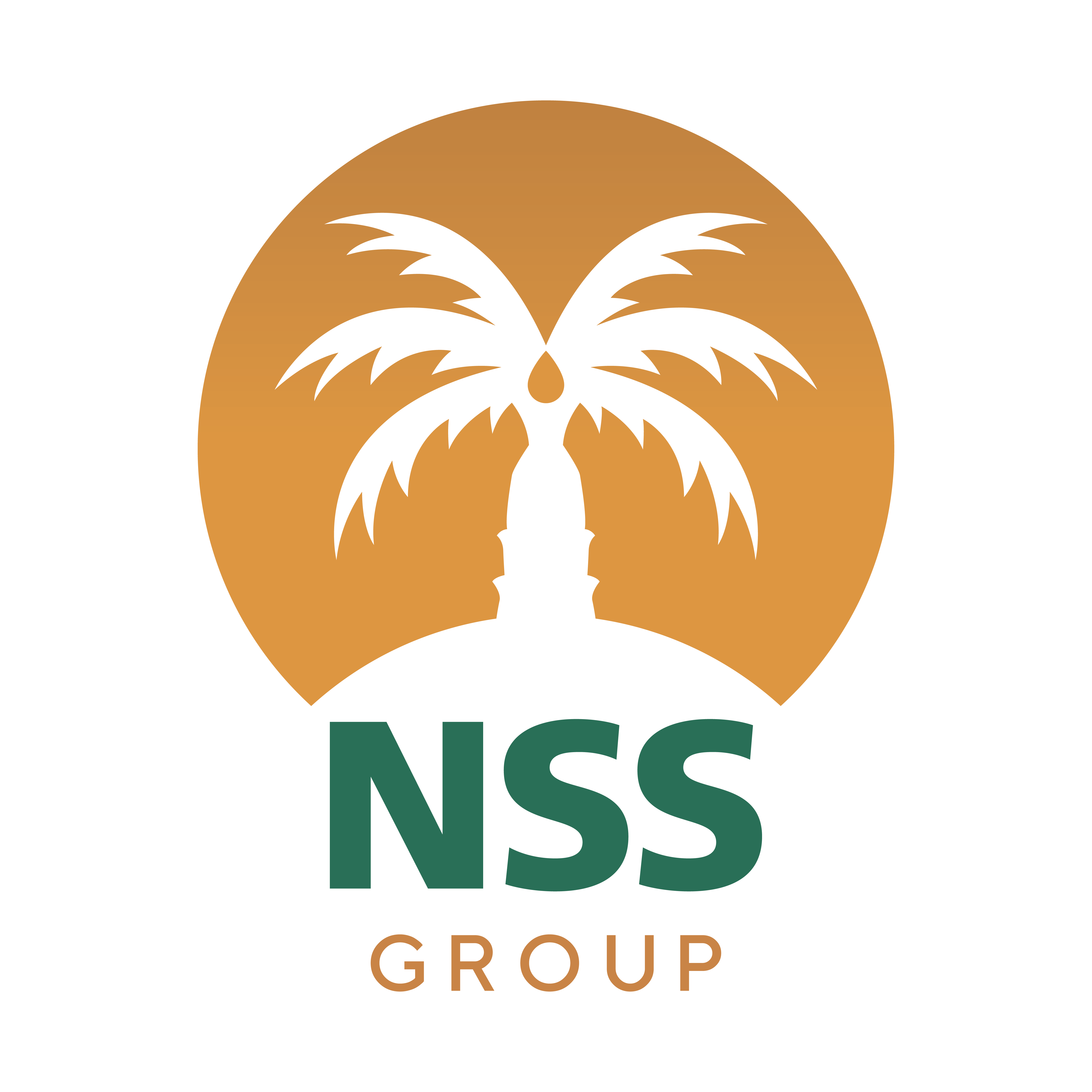NSSS